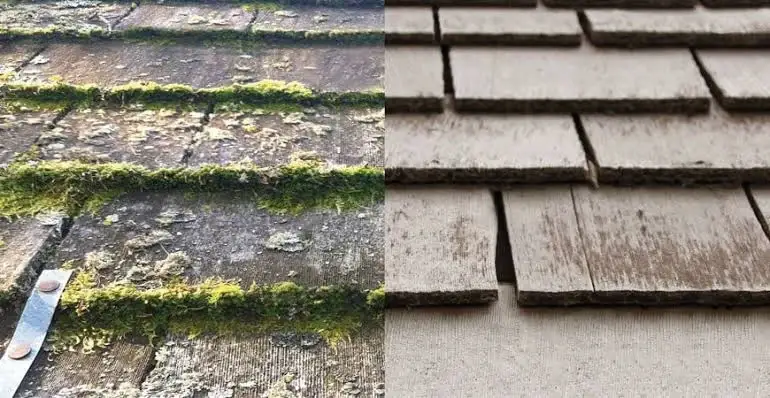 Cedar shake courses compared: moss in the keyways and butt lines, clean shakes beside