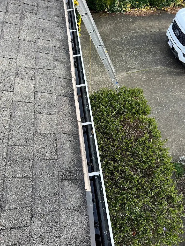 Asphalt shingle courses running down to the roof edge above a driveway hedge