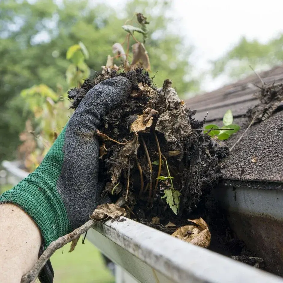 A gloved hand lifting a heavy mat of wet leaves, moss and debris off a roof edge